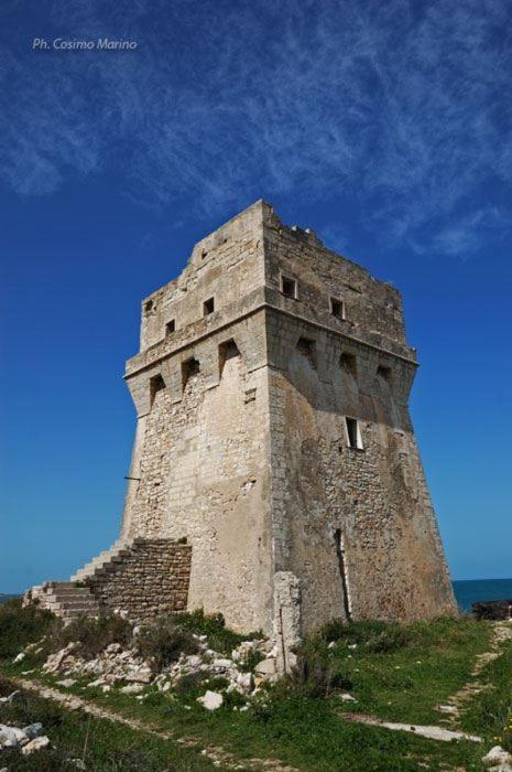 Vandelia B&B Molfetta Bagian luar foto